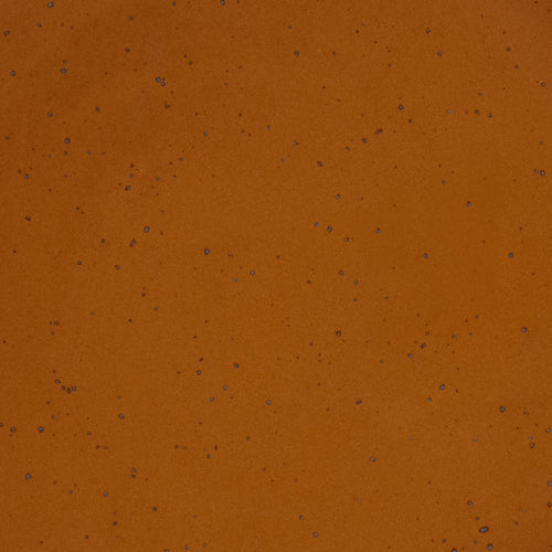 A closeup of a ceramic plate in a glossy caramel brown color with iron speckles throughout