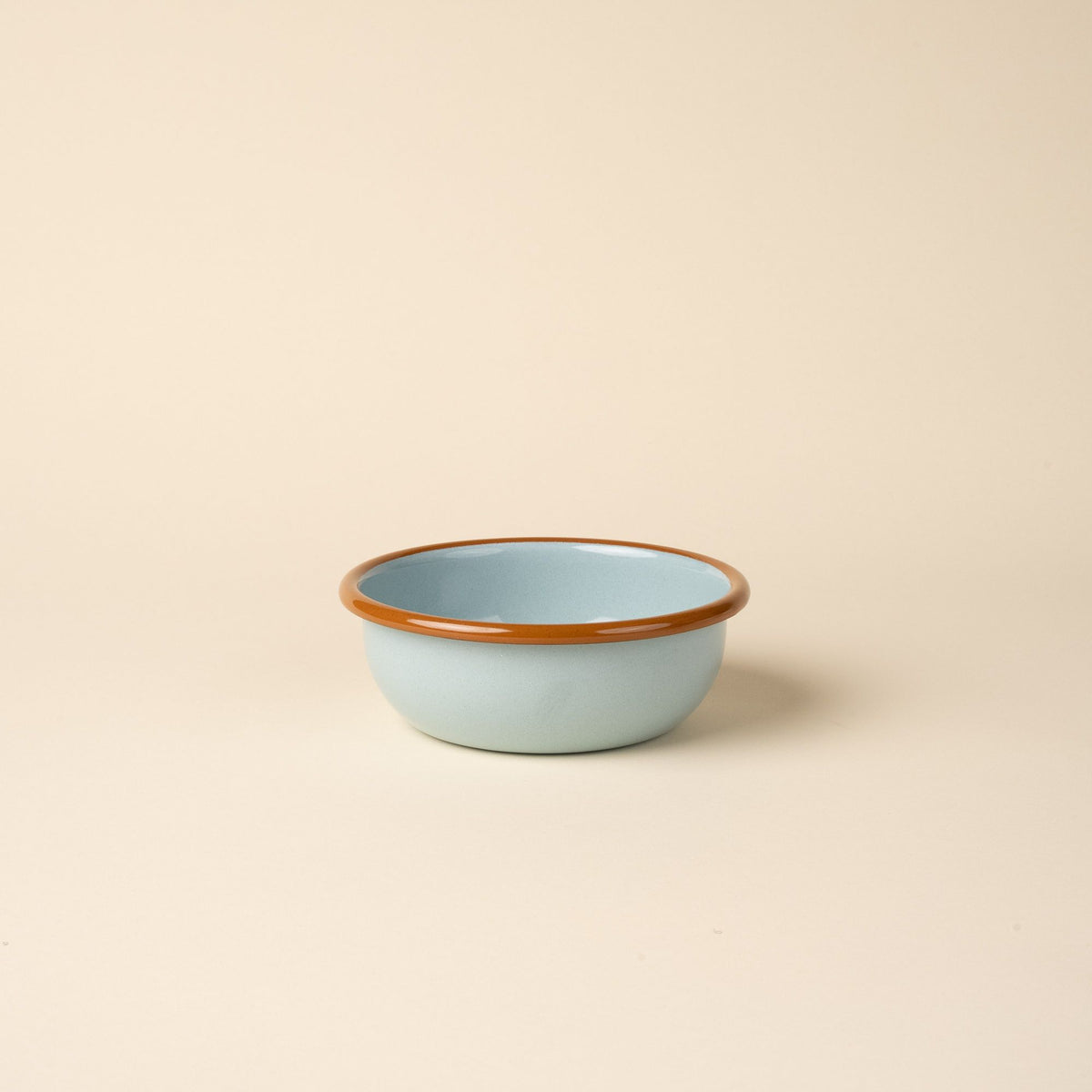 A small enamel bowl in robin's egg blue with a warm brown rim.
