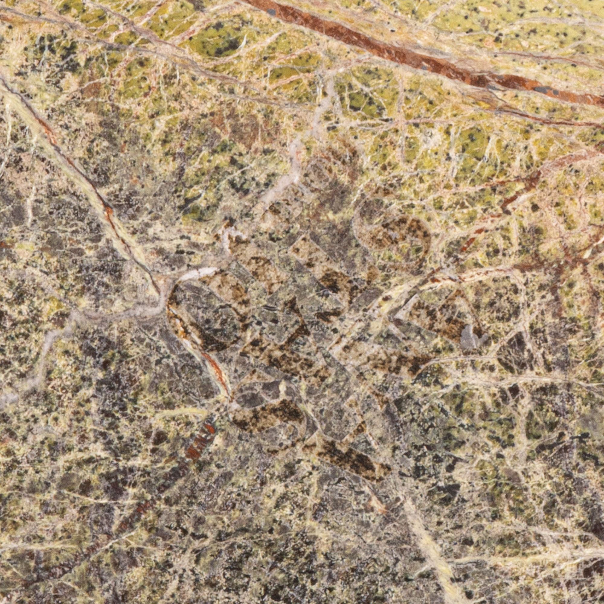 Close-up of green and beige marble surface with fine veins and speckled textures.