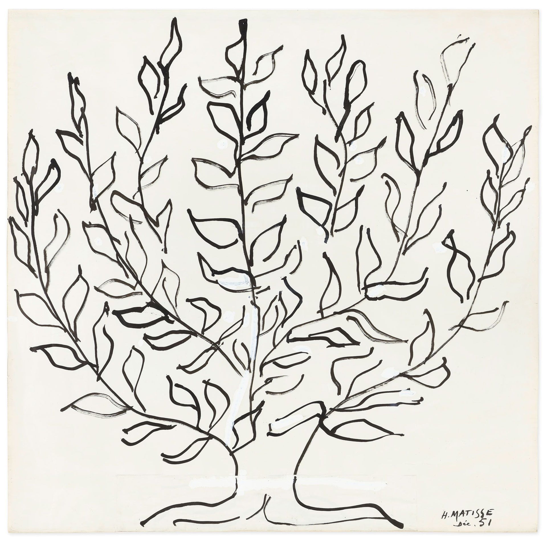 Original artwork, Le Platane, by Henri Matisse, a drawing in black ink of a plane tree.