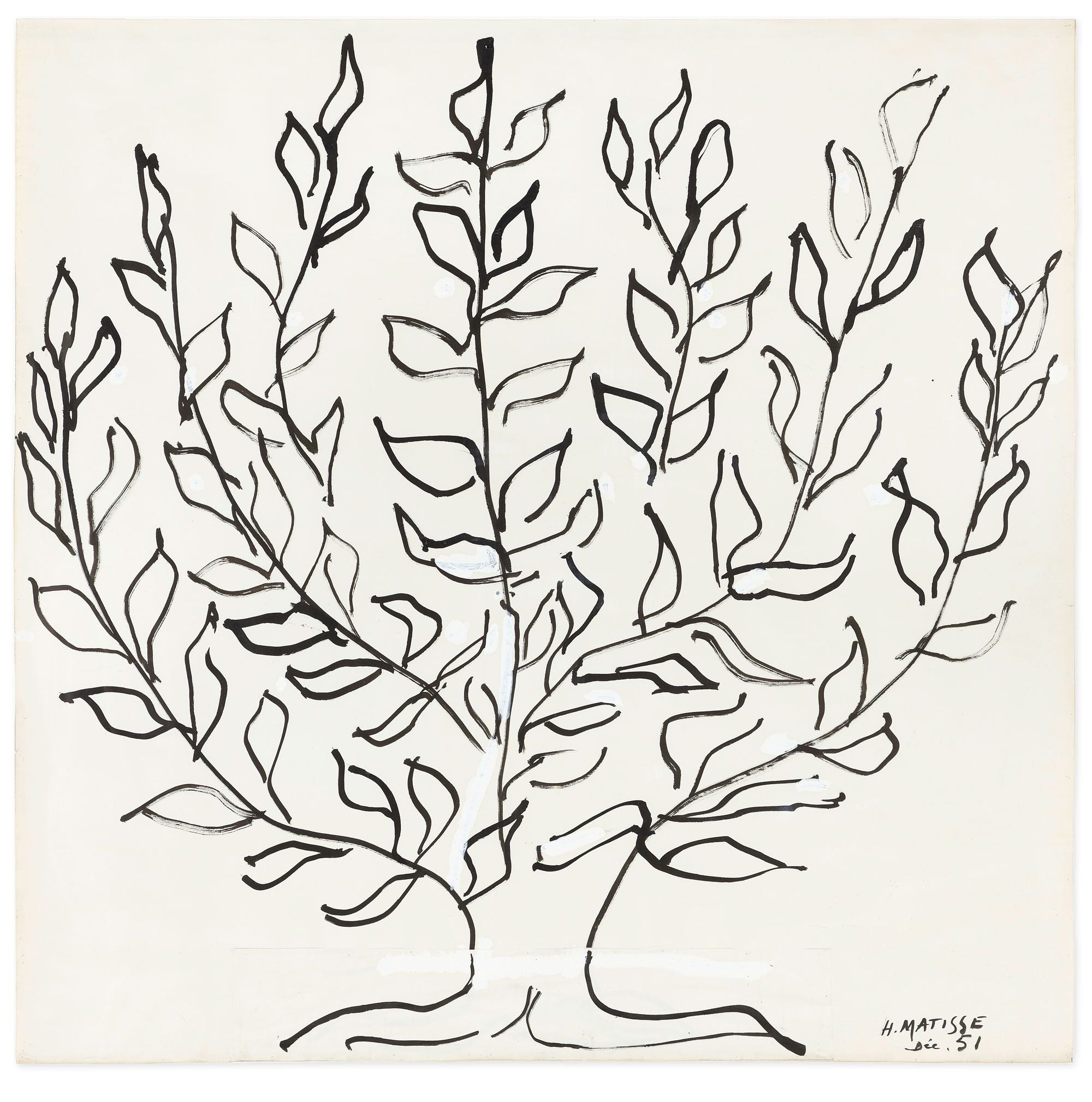 Original artwork, Le Platane, by Henri Matisse, a drawing in black ink of a plane tree.