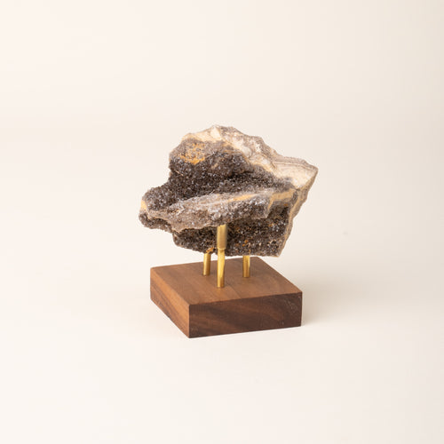 Brilliant Petrified Wood