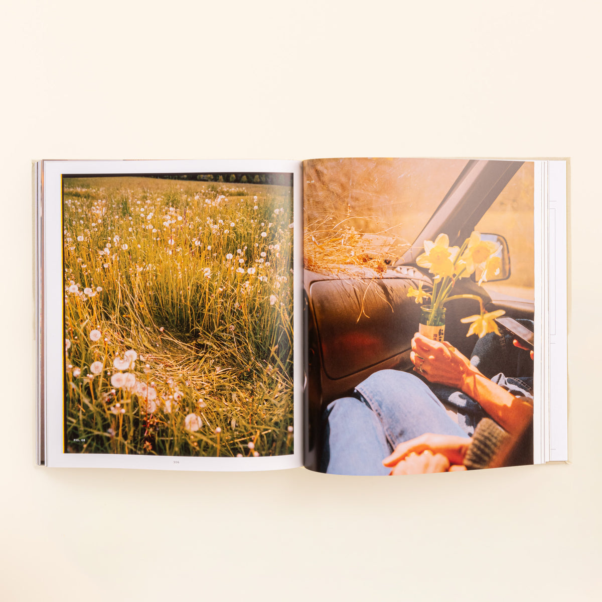 Open hardcover book showing a field of dandelions on one page and a person holding yellow flowers inside a car on the other.