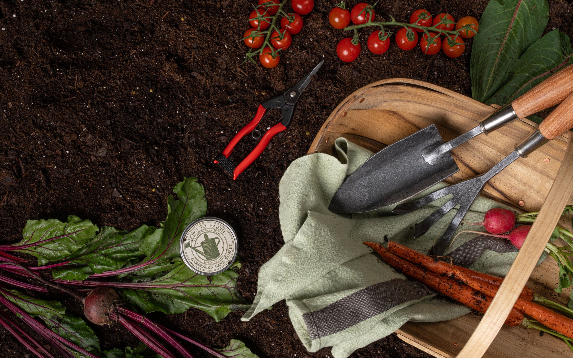 Gardening tools and vegetables on a dark soil background