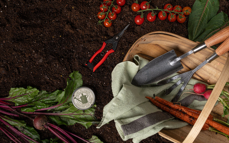 Gardening tools and vegetables on a dark soil background