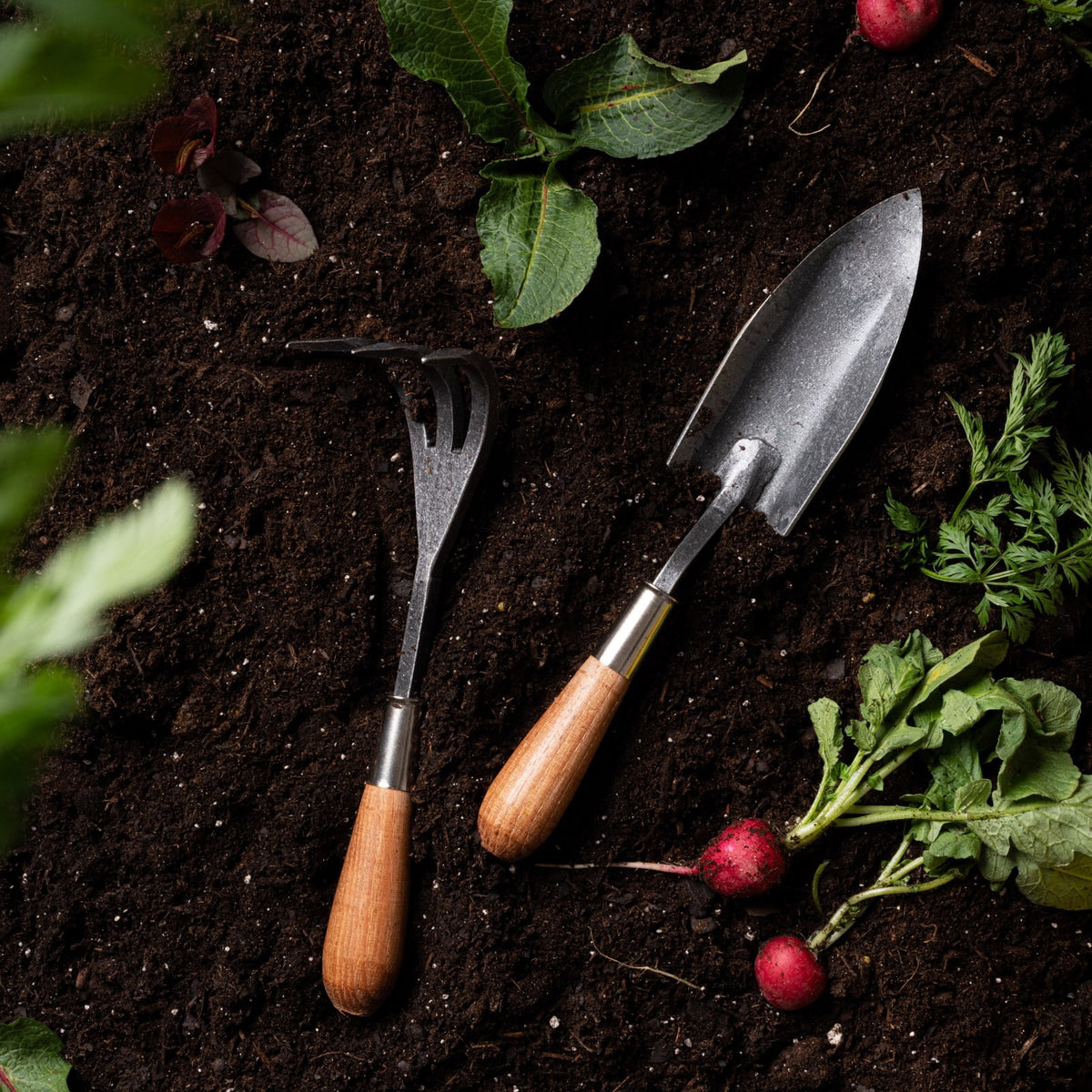 A garden trowel and hand cultivator with wooden handles placed on soil, surrounded by freshly harvested radishes and leafy greens.