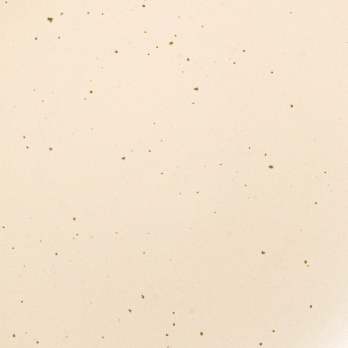 A closeup of a ceramic plate in a cream color with iron speckles throughout