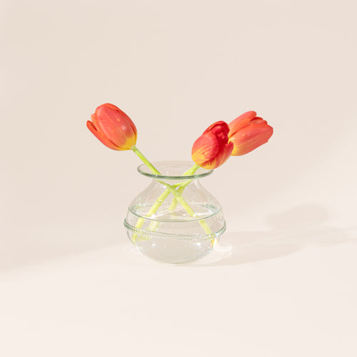 Small clear glass vase with a rounded body, flared rim, and decorative band around the center, with a few flower stems.
