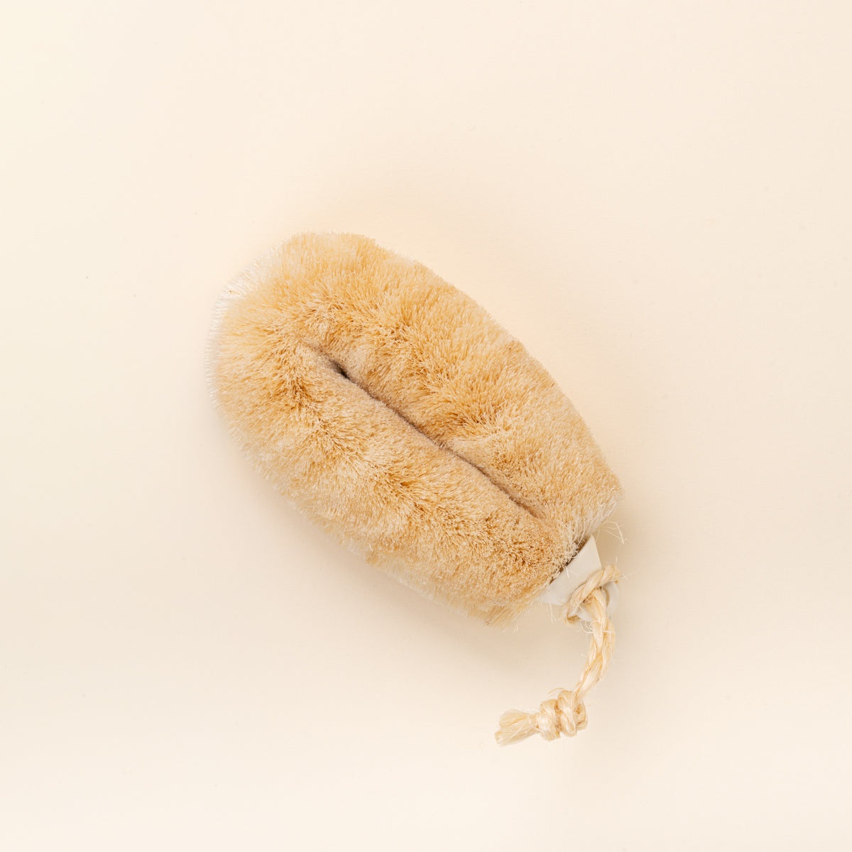 A natural-fiber body or bath brush with dense cream-colored bristles and a braided hanging loop, photographed on a warm cream background.