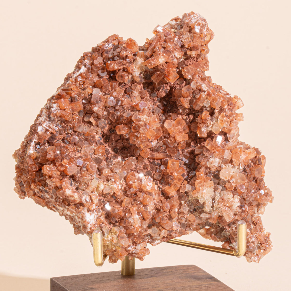 Closeup of aragonite displayed on a wood display stand with brass prongs.