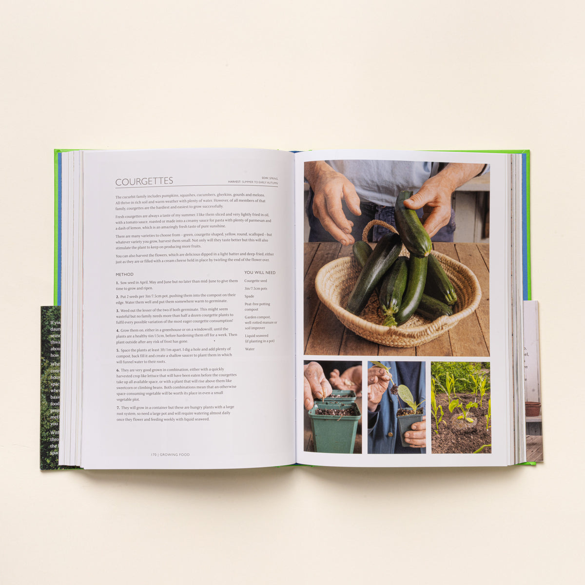 Open book spread on courgettes, with growing tips on left and photos of harvested zucchini and planting steps on right.
