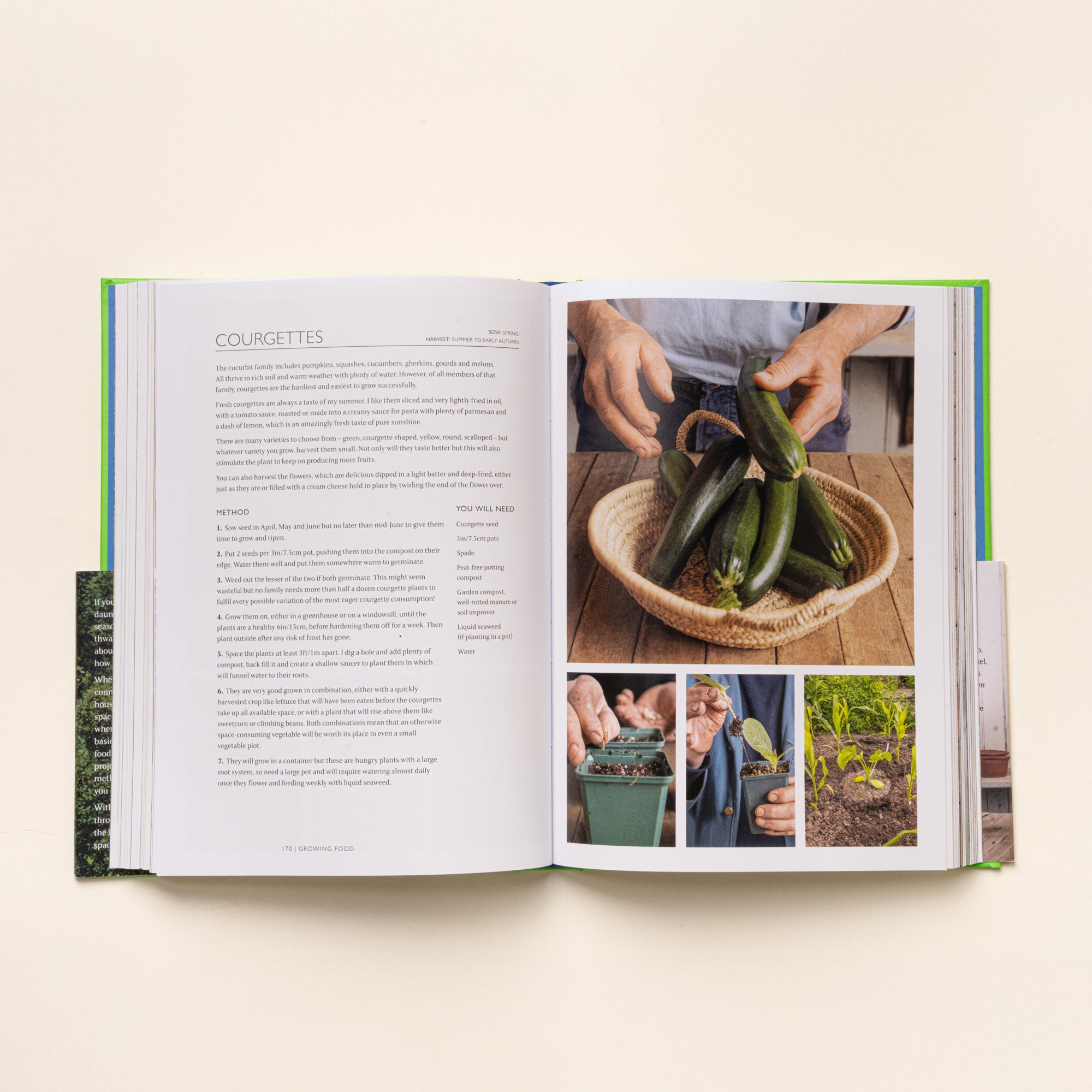Open book spread on courgettes, with growing tips on left and photos of harvested zucchini and planting steps on right.
