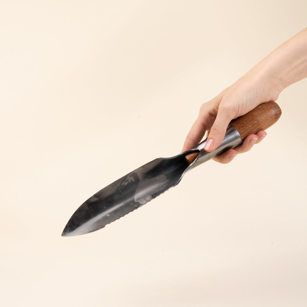 A hand holds a garden trowel with a serrated edge and wooden handle.