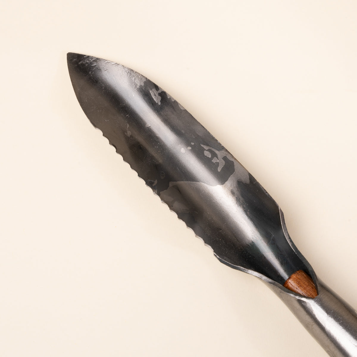 Closeup of handheld garden trowel with a serrated edge and wooden handle.
