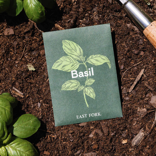 Basil seed packet with illustrated basil green leaves sitting in dirt next to basil leaves.