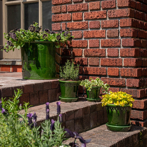 A set of green ceramic planters arranged on brick steps outside a house, filled with various plants (including herbs and small flowering plants), against a red brick wall.