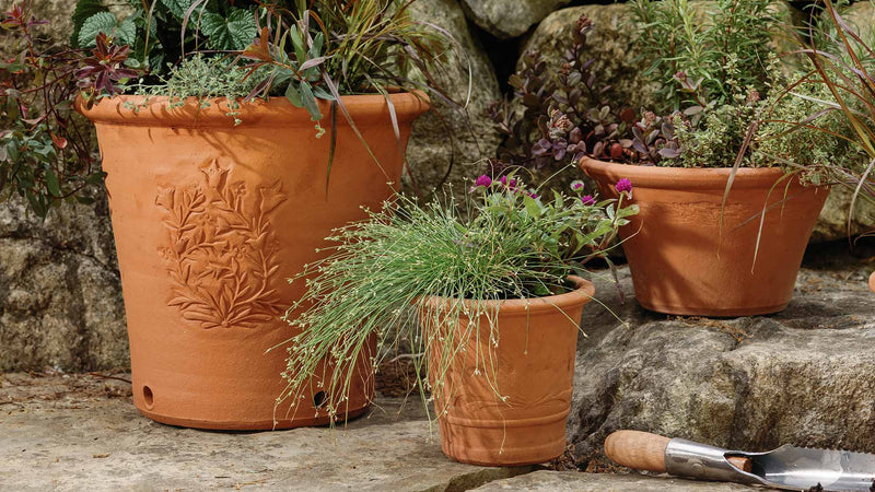 Group of Whichford terracotta planters arranged in a garden setting, filled with colorful flowers, herbs, and ornamental foliage.