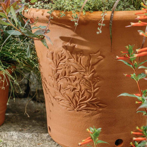 Closeup of a terracotta flower pot with embossed floral design and drainage holes outside, filled with greenery.