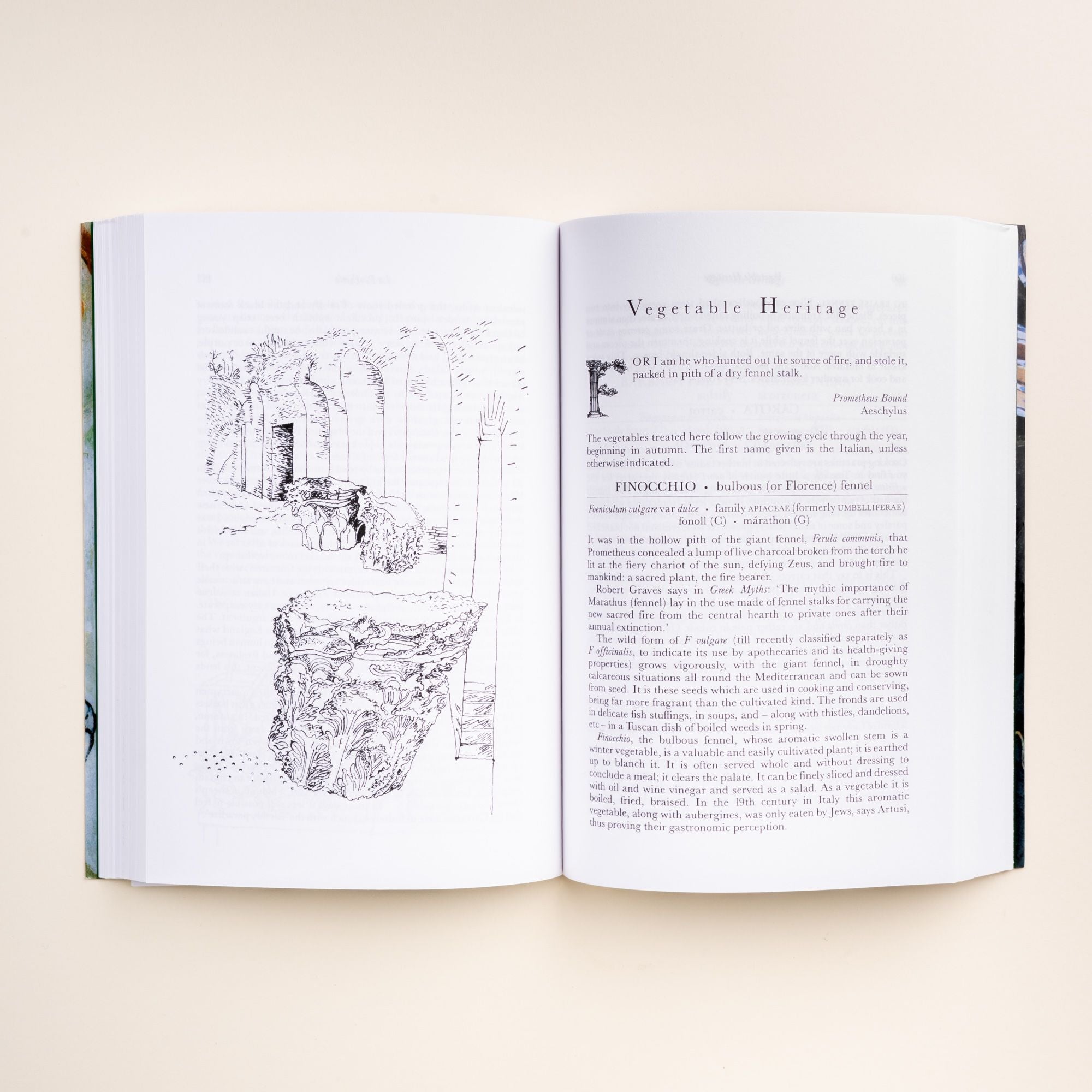 Open book showing 'Vegetable Heritage' chapter with text on fennel and a black-and-white illustration