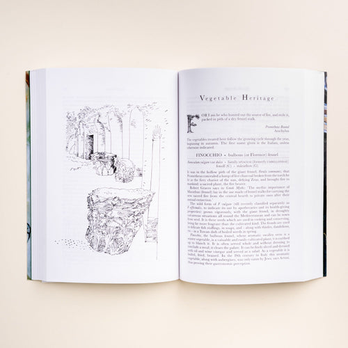 Open book showing 'Vegetable Heritage' chapter with text on fennel and a black-and-white illustration