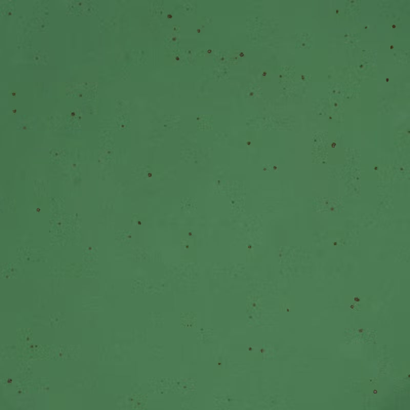 A closeup of a ceramic plate in a glossy emerald green color with iron speckles throughout