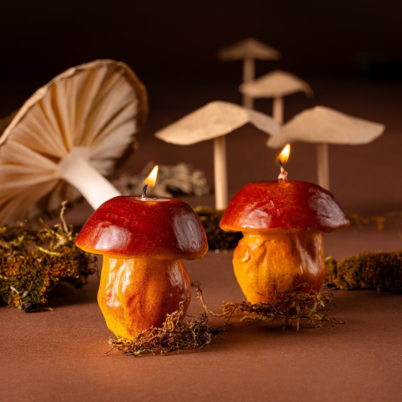 Assortment of candles that look like real meat, cheese, veggies and fruits. But they're made of wax!