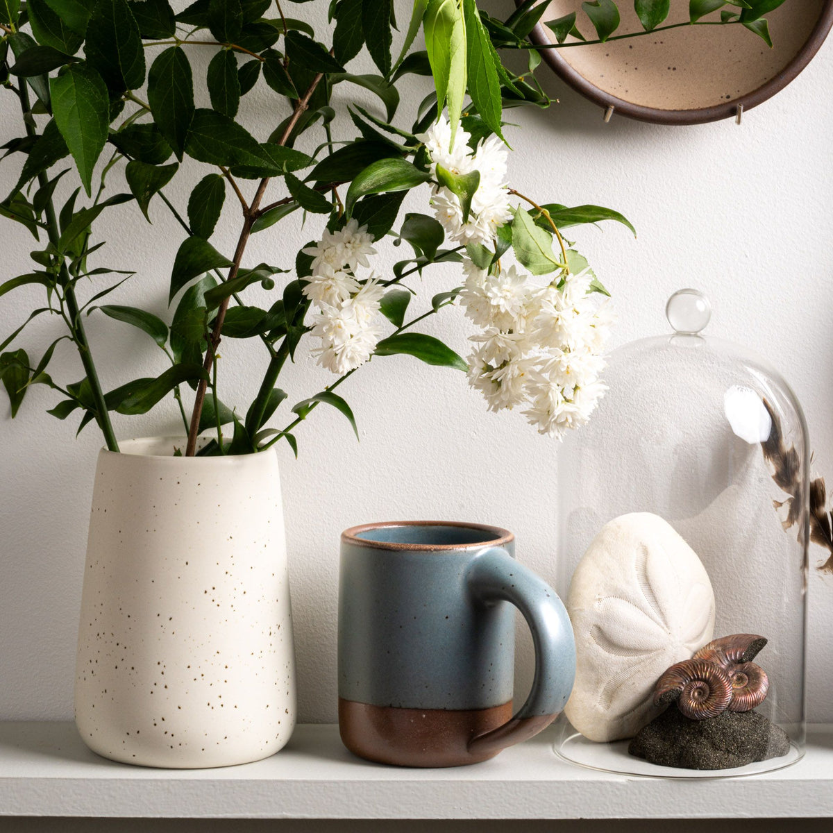 Speckled white vase with greenery, a blue-grey mug, and seashells under a glass cloche on a shelf.