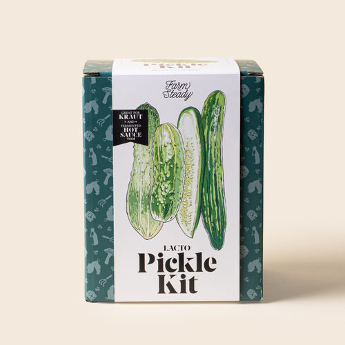 A FarmSteady Lacto Pickle Kit box featuring illustrated cucumbers on the front, designed for making kraut, fermented hot sauce, and pickles.