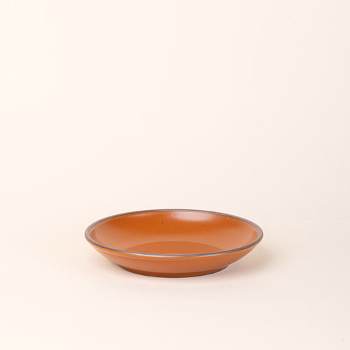 A medium ceramic plate with a curved bowl edge in an earthy orange color featuring iron speckles and an unglazed rim.