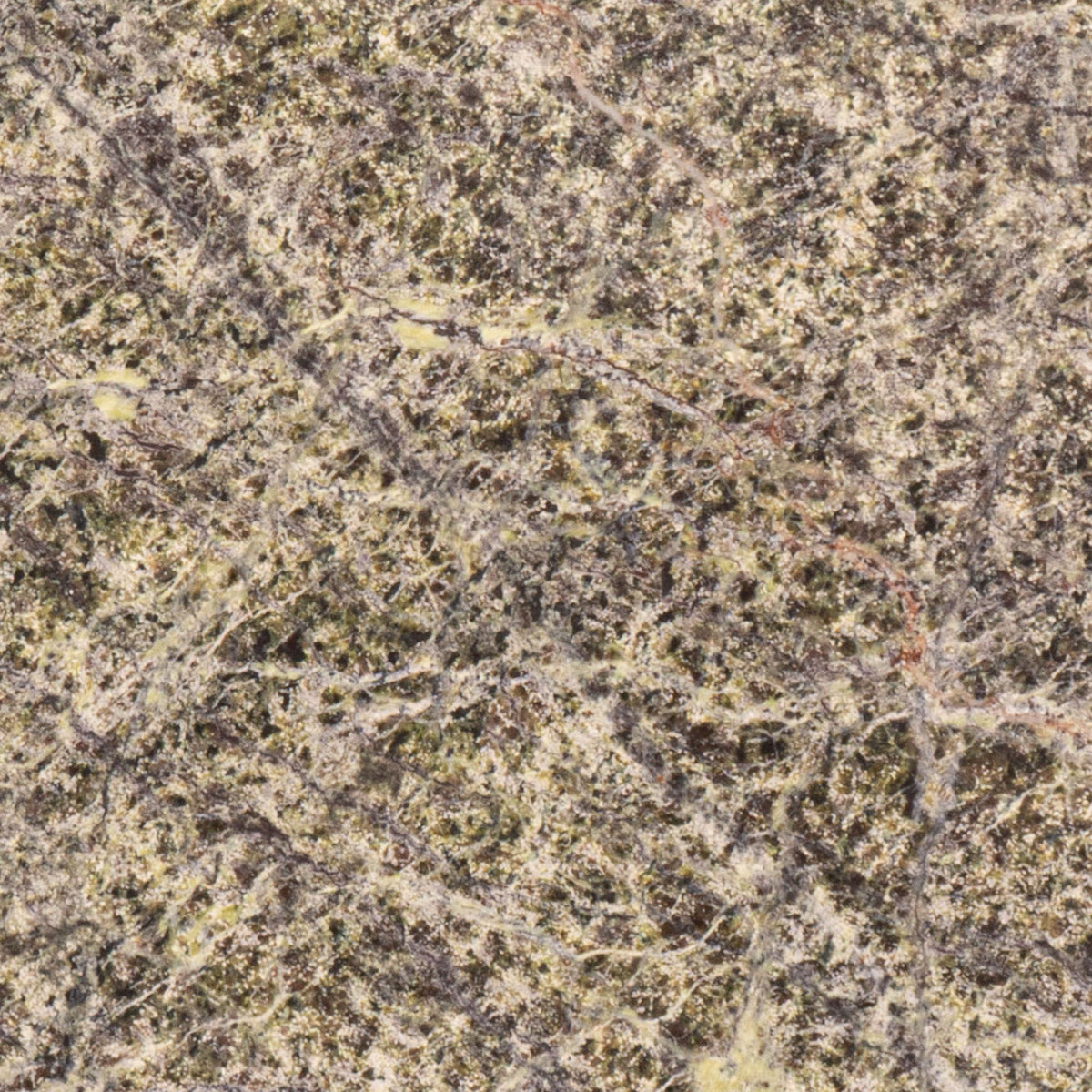 Close-up of green and beige marble surface with fine veins and speckled textures.