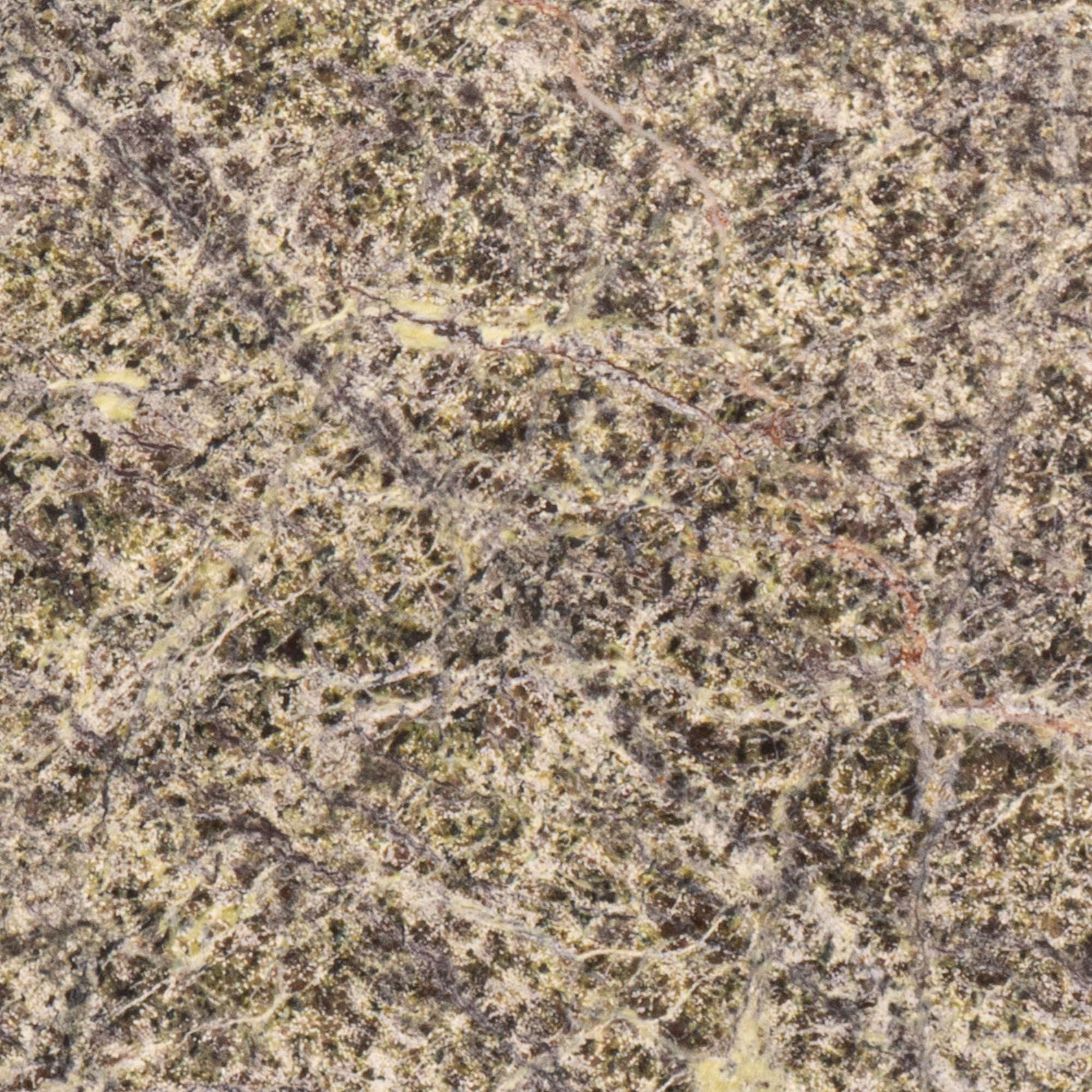 Close-up of green and beige marble surface with fine veins and speckled textures.