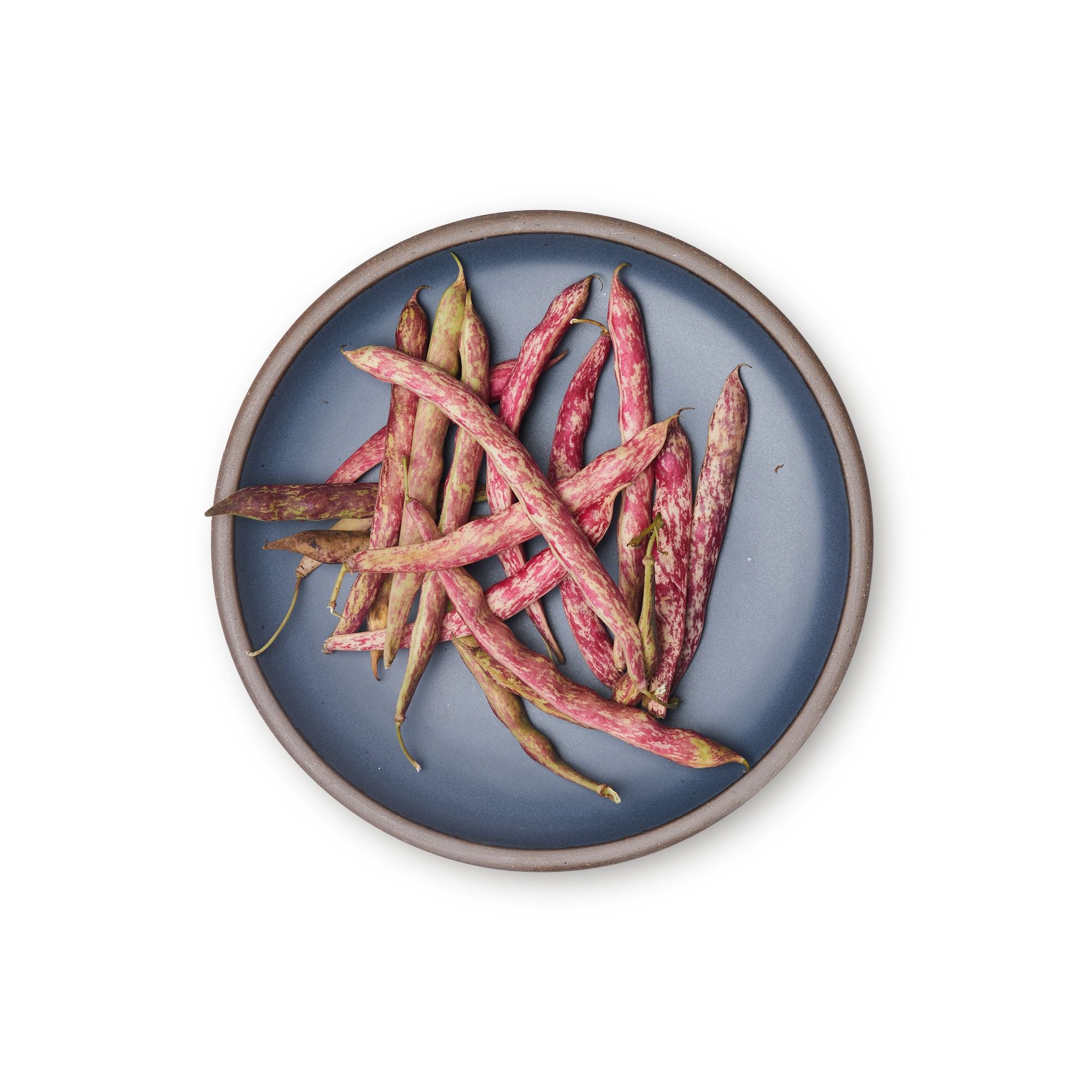 Bean seeds on a dinner sized ceramic plate in a cool, medium blue color featuring iron speckles and an unglazed rim.