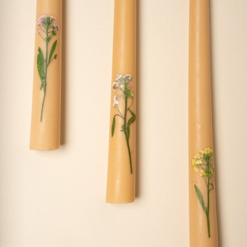 A closeup of pressed flowers on the bottom of three taper candles