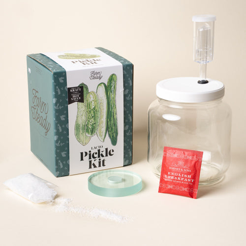 FarmSteady Lacto Pickle Kit with its contents displayed: fermentation jar with airlock lid, salt packet, glass weight, tea packet, and packaging box.