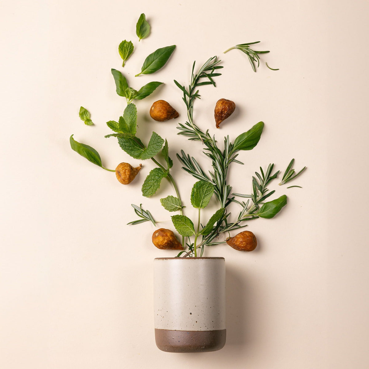 A cylindrical ceramic vessel in an off-white color laying on its side - basil, rosemary, and fig leaf are artfully styled coming out of the top of the candle to reflect the scent.