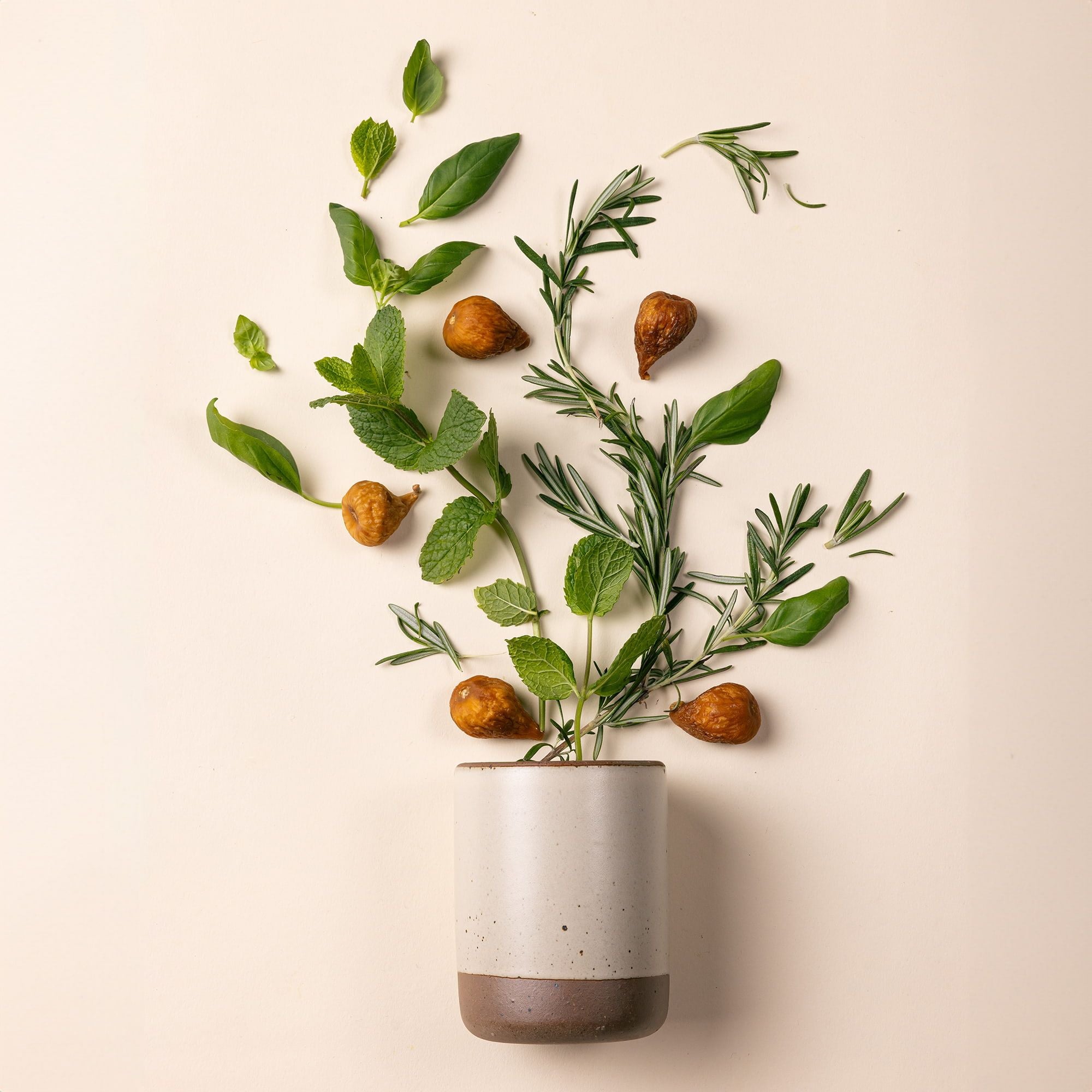 A cylindrical ceramic vessel in an off-white color laying on its side - basil, rosemary, and fig leaf are artfully styled coming out of the top of the candle to reflect the scent.