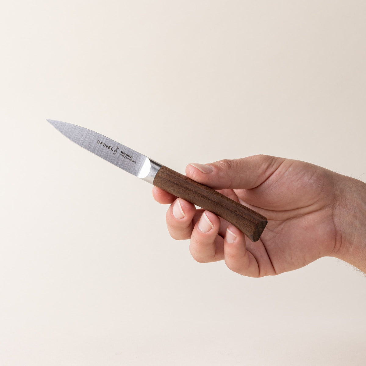 A hand holds a small paring knife with a sharp steel blade and a beveled dark wood handle