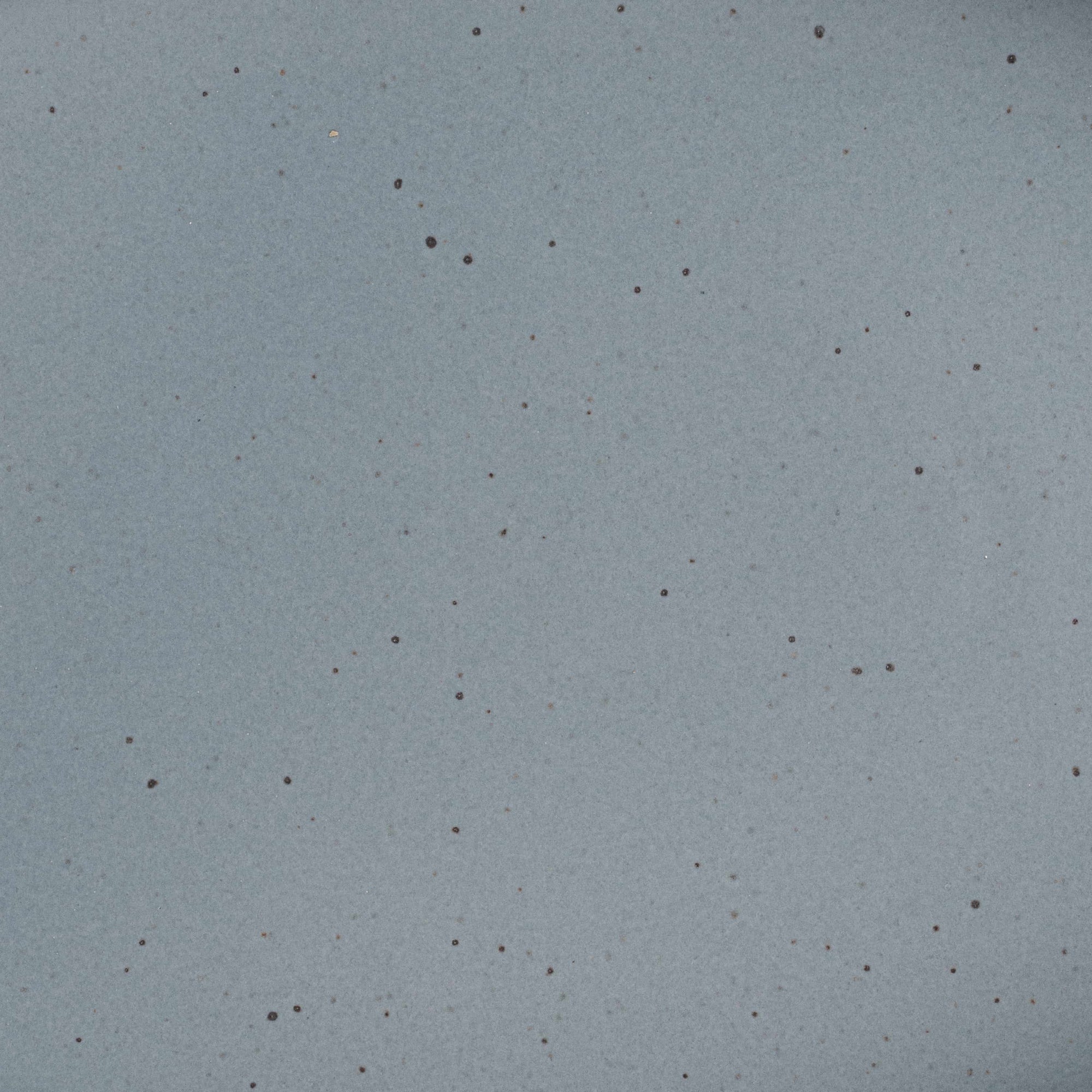 A closeup of a ceramic plate in a blue-grey color with iron speckles throughout