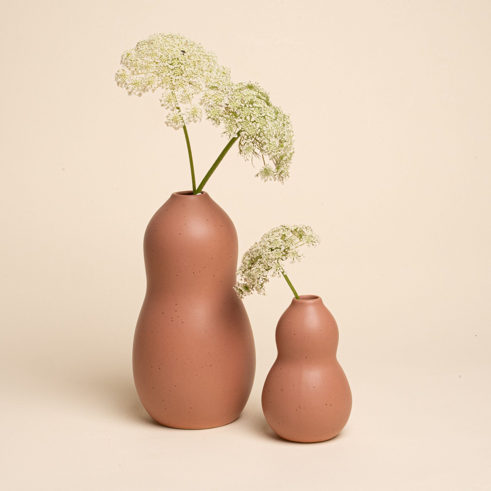 Two light terracotta curvy vases—one tall and one small—sit on a neutral background, each holding a delicate white Queen Anne’s lace flower.