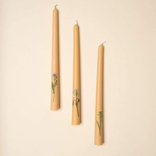 3 taper candles lined up featuring a neutral beeswax color with pressed flowers at the bottom.