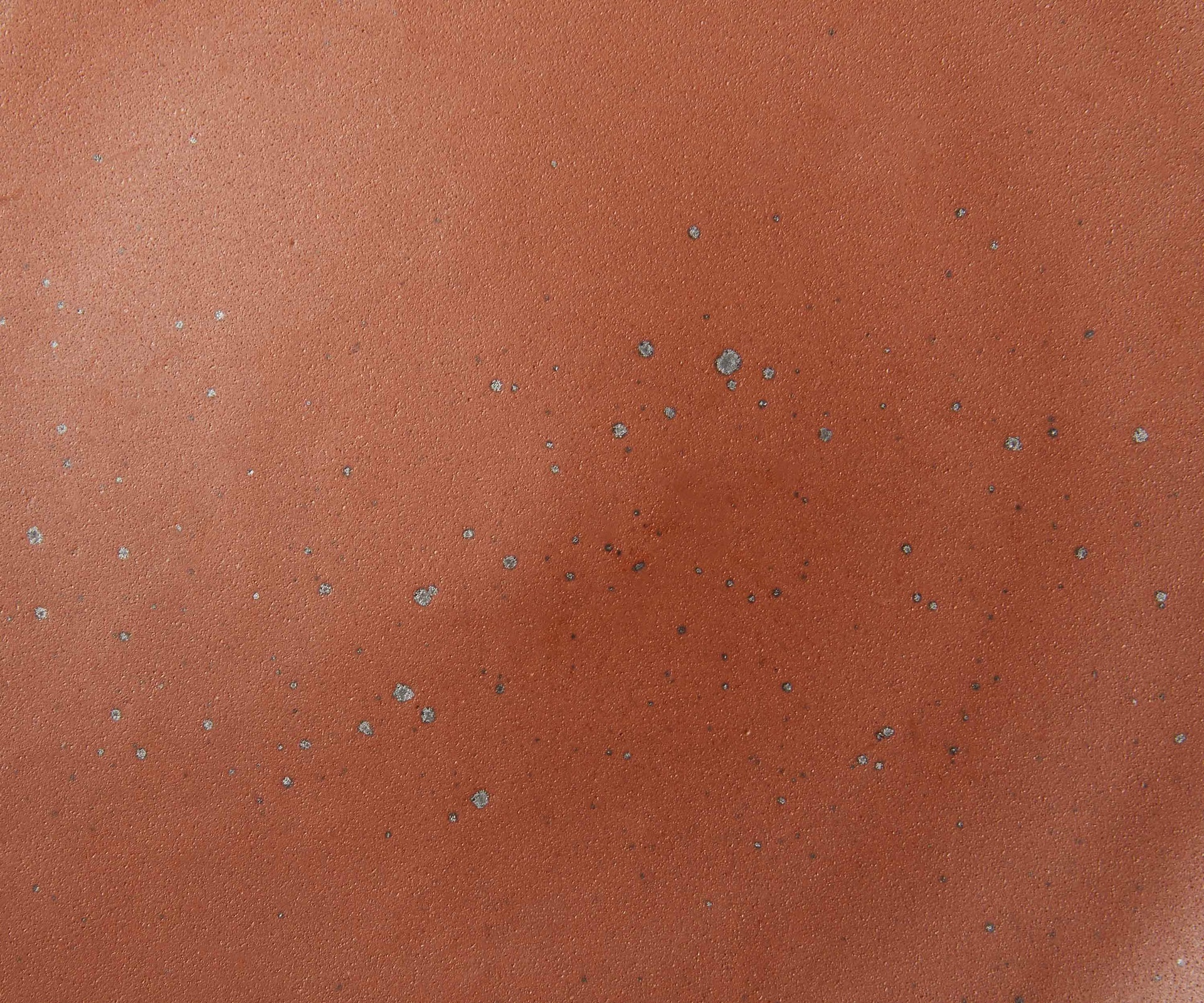 A closeup of a ceramic plate in a cool terracotta color with iron speckles throughout