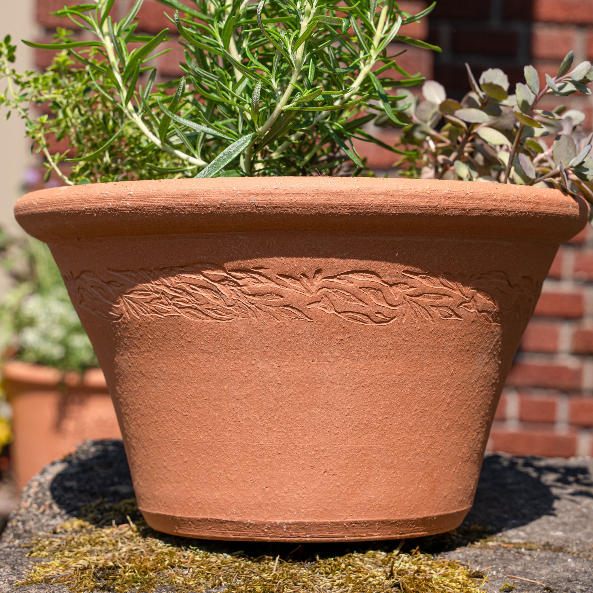 Outdoor & Garden – East Fork
