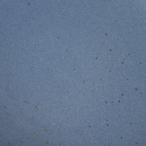A closeup of a ceramic plate in a muted navy blue color with iron speckles throughout