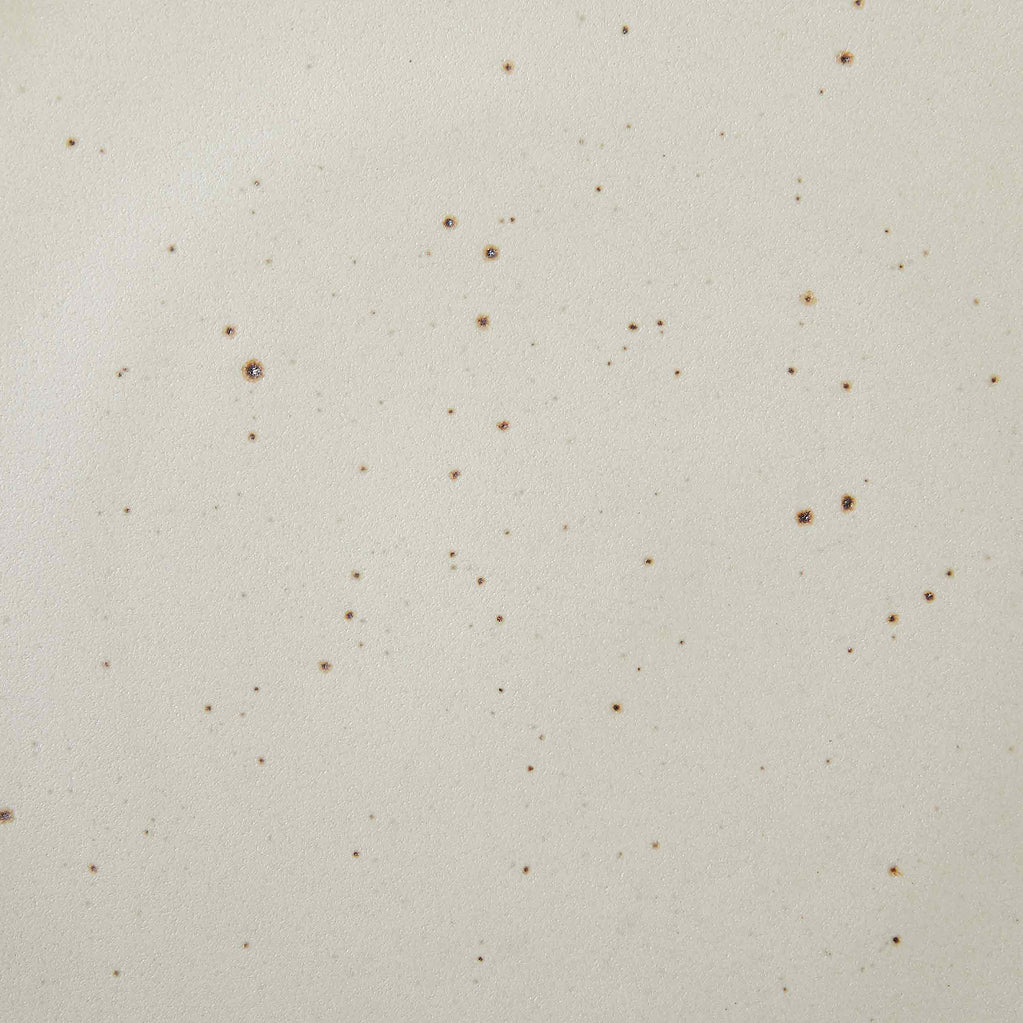 A closeup of a ceramic plate in a warm off-white color featuring iron speckles