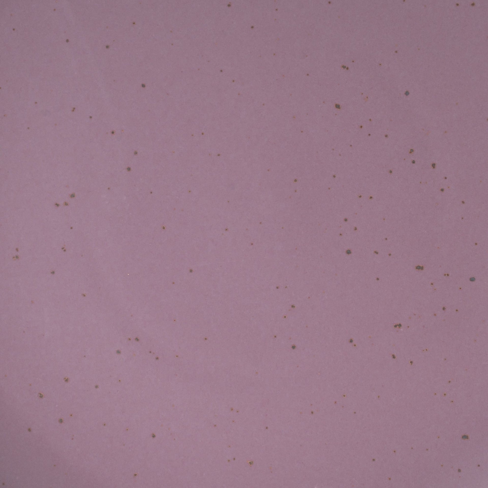 A closeup of a ceramic plate in a soft, mauve purple color featuring iron speckles