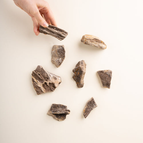 A hand reaches for one of eight small, rough-cut brilliant petrified wood pieces with sparkling crystal surfaces, scattered on a light neutral background.
