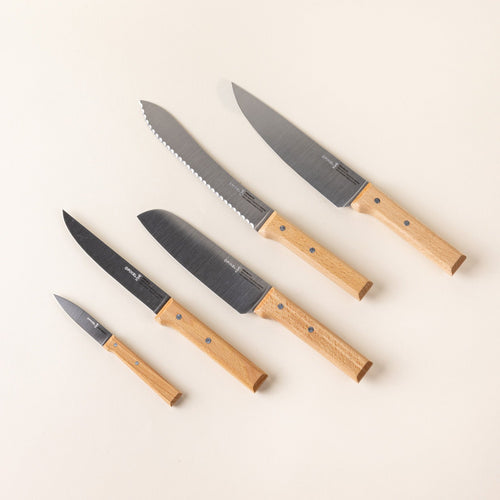 Five kitchen knives lined up in a row, all different sizes and features with steel blades and a wooden handles