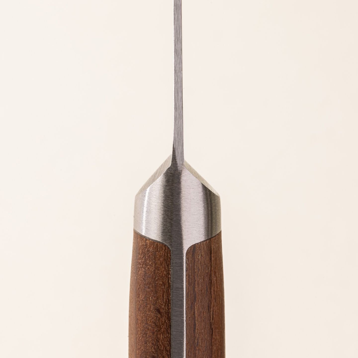 A close up of where the wooden handle meets the steel blade of a paring knife