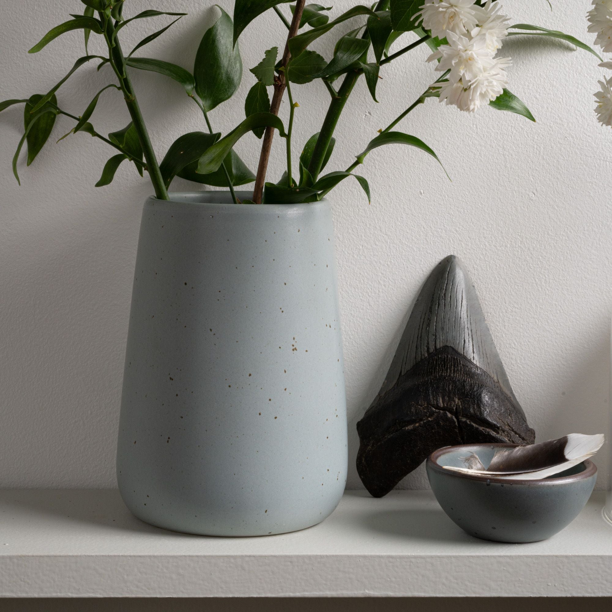 Speckled blue-grey vase with greenery, a large shark tooth, and a small bowl holding feathers on a white shelf.