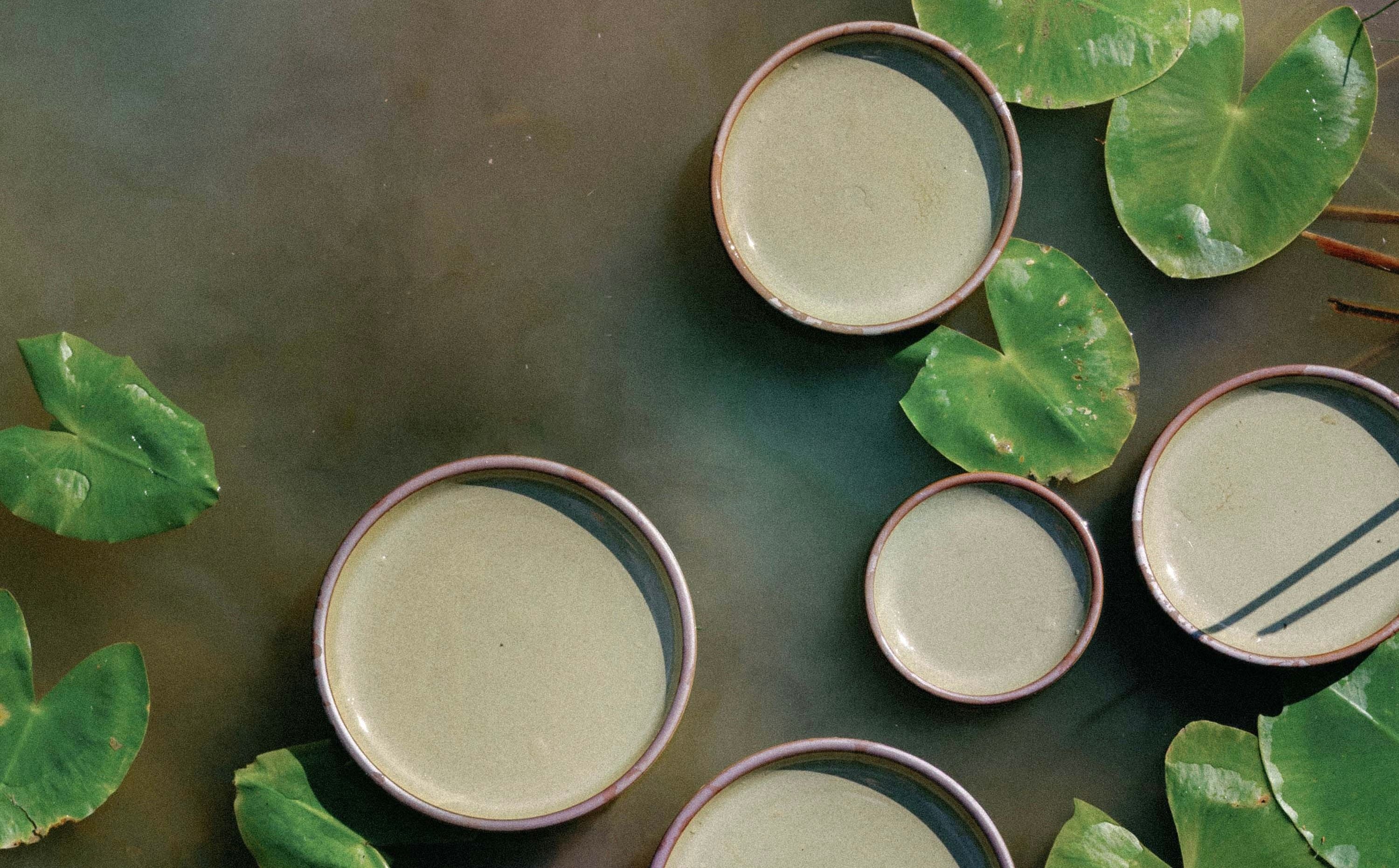An overhead view of reflective dappled grey-green plates in various sizes floating in a pond with lily pads